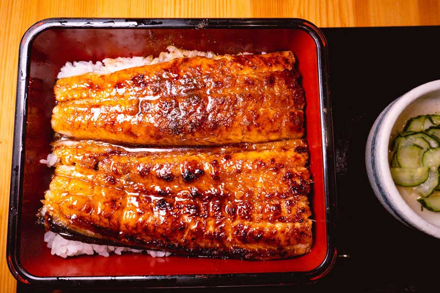 Craving: Unadon Japanese Eel Rice at Manzhong