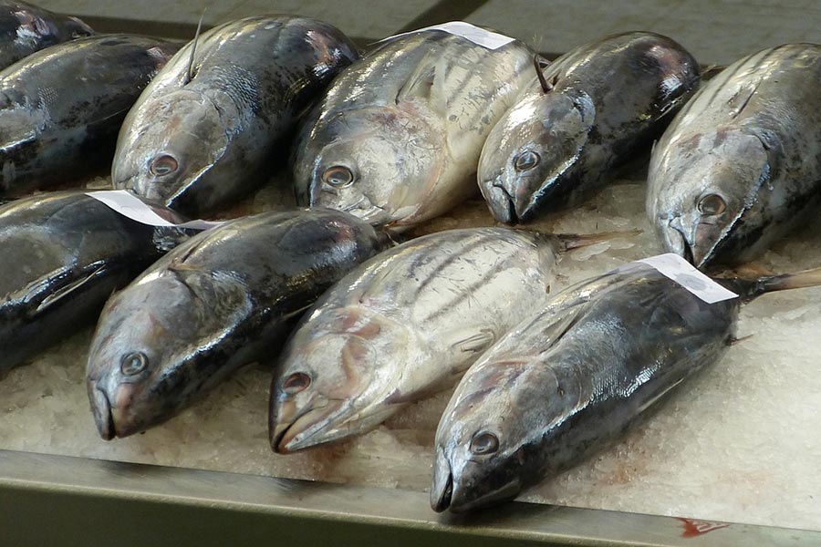 China Bans Japanese Seafood, Impact on Restaurants in Shanghai