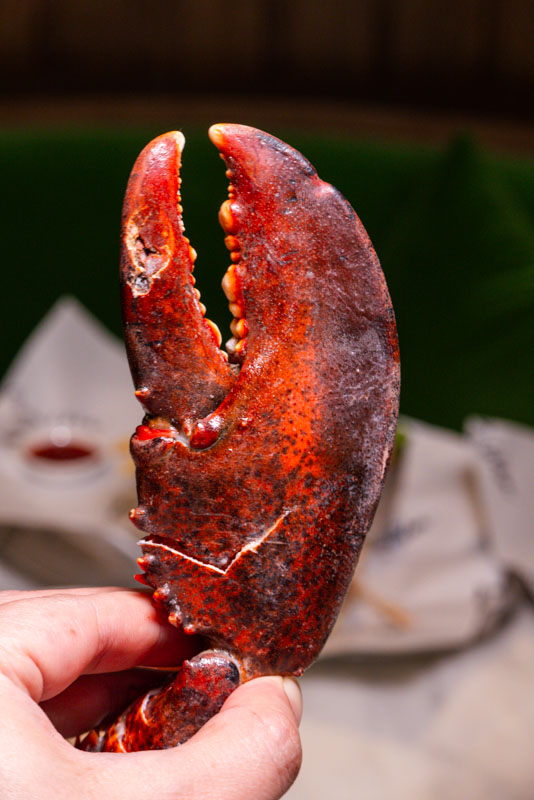 Burger & Lobster pop-up at The Shanghai EDITION. photo @ Nomfluence